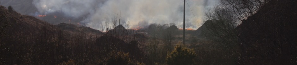 Burning Landscape 11 Tanya de Paor