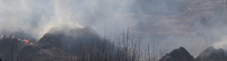 Burning Landscape 4 Tanya de Paor
