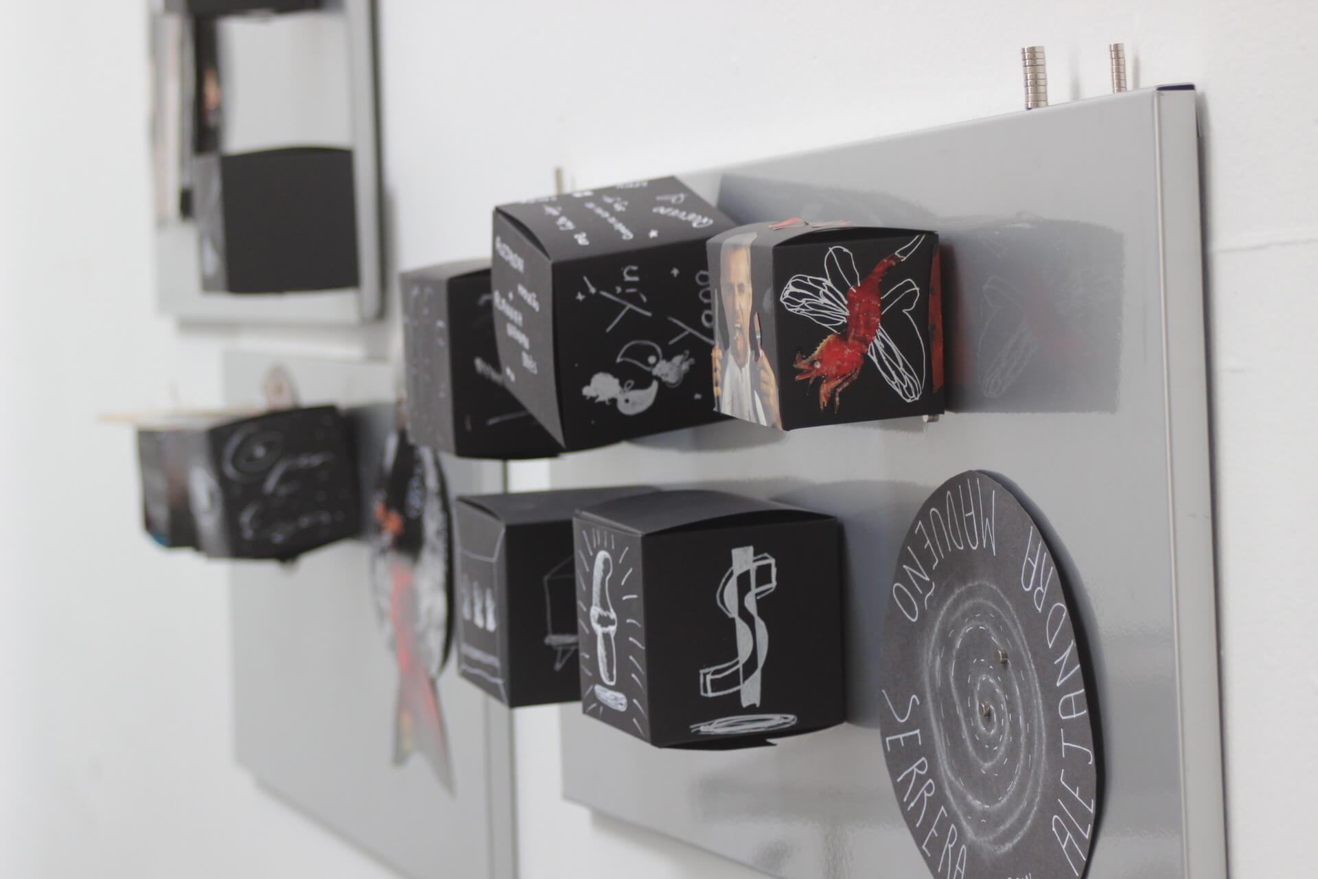 Imagine the Symbiocene 2023 Tanya de Paor 1